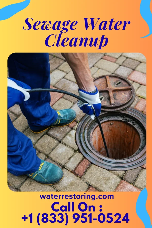 Sewage Water Cleanup in Westminster, MD