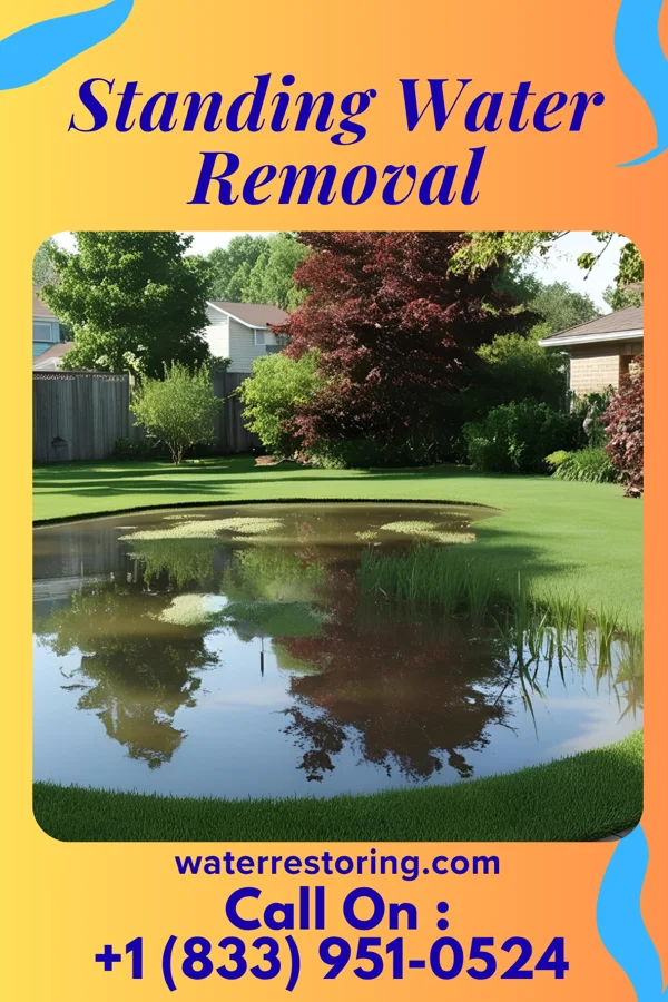 Standing Water Removal in Westminster, MD